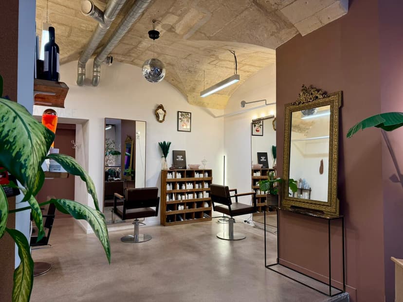 Vue interieure du salon